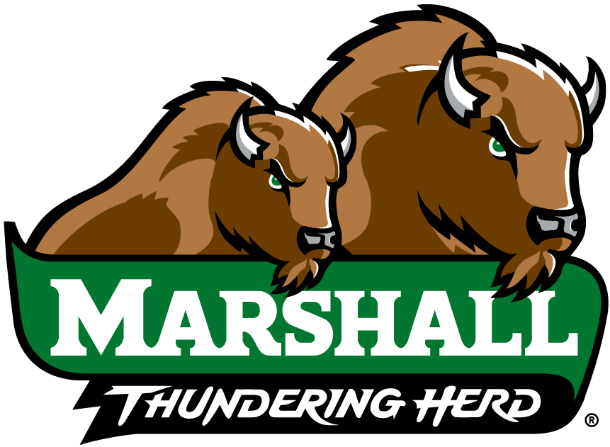 Marshall Thundering Herd 2001-Pres Alternate Logo v4 DIY iron on transfer (heat transfer)